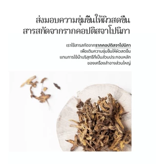 [Pyunkang Yul] มอยส์เจอร์ครีม 50ml / 100ml