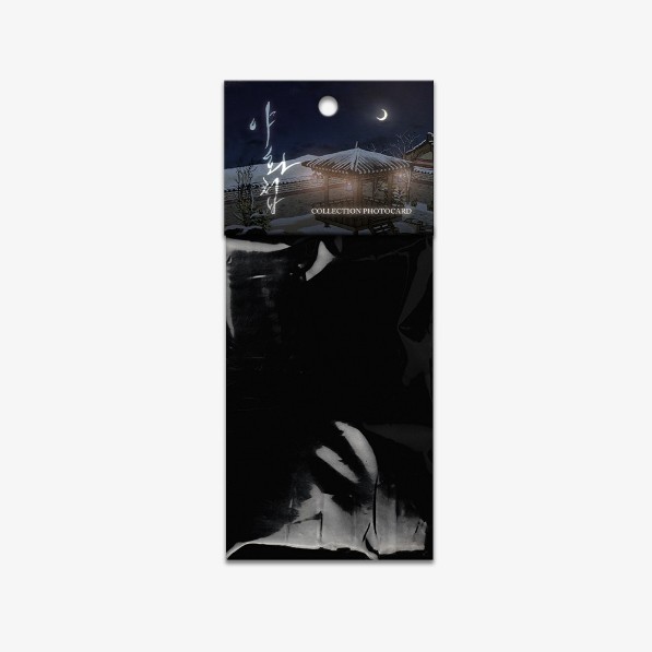 Painter Of The Night Collection Photo Cards 2