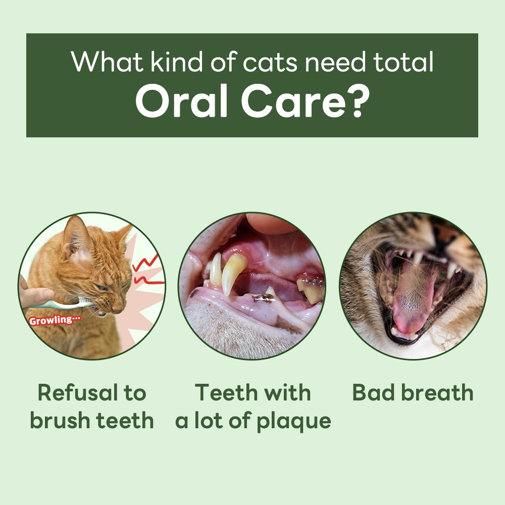 [Doctor By CAT ORA HEALTH] Dental Care Tartar Remover ผลิตภัณฑ์ทําความสะอาดฟัน - รูปที่ 5