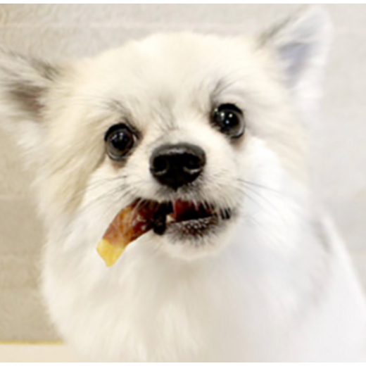 Good Day Healthy Dog Jerky