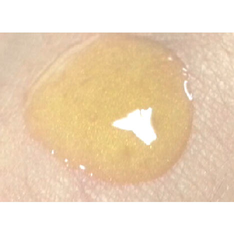 [WHOO] Cheongidan Regenerating Gold Concentrate 1ml 20ea ตัวอย่าง 20 ชิ้น 60 ชิ้น - รูปที่ 5