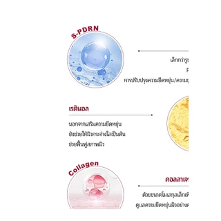 [CNP] Derma Answer Pore Firming Ampoule 15ML/30ML – Tightens Pores & Smooths Skin Texture | แอมพูลกระชับรูขุมขน | LG Beauty OFFICIAL
