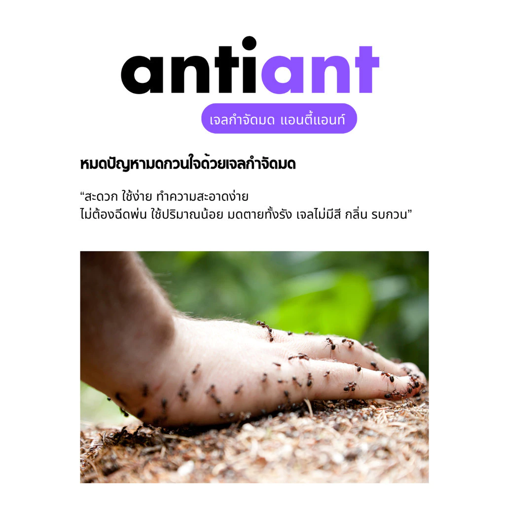 เจลกำจัดมด ANTIANT แอนตี้แอนท์ [ของแท้จากร้าน Antiant Thailand] thumbnail 6