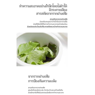 [Pyunkang Yul] Cleansing Foam 150ml พยุนกัง ยูล คลีนซิ่ง โฟม 150มล.