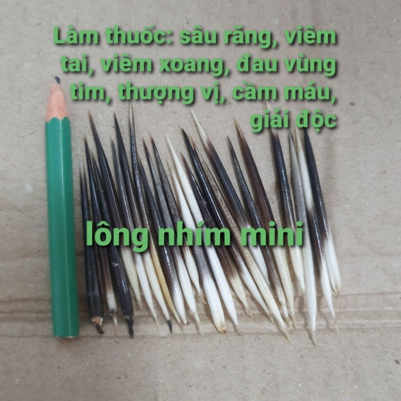 10 ขนเม่นขนาดเล็ก: ฟันผุ, การติดเชื้อทางหู, ไซนัสอักเสบ, ห้ามเลือด,...