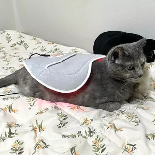 CiriusPet Warm Pad + Wireless Controller Near Infrared Therapy