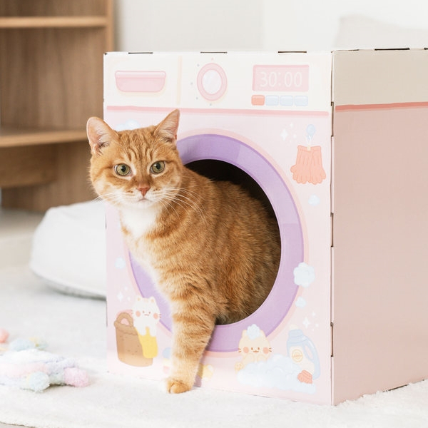 [Form Korea] Daiso Korea บ้านแมวแท้