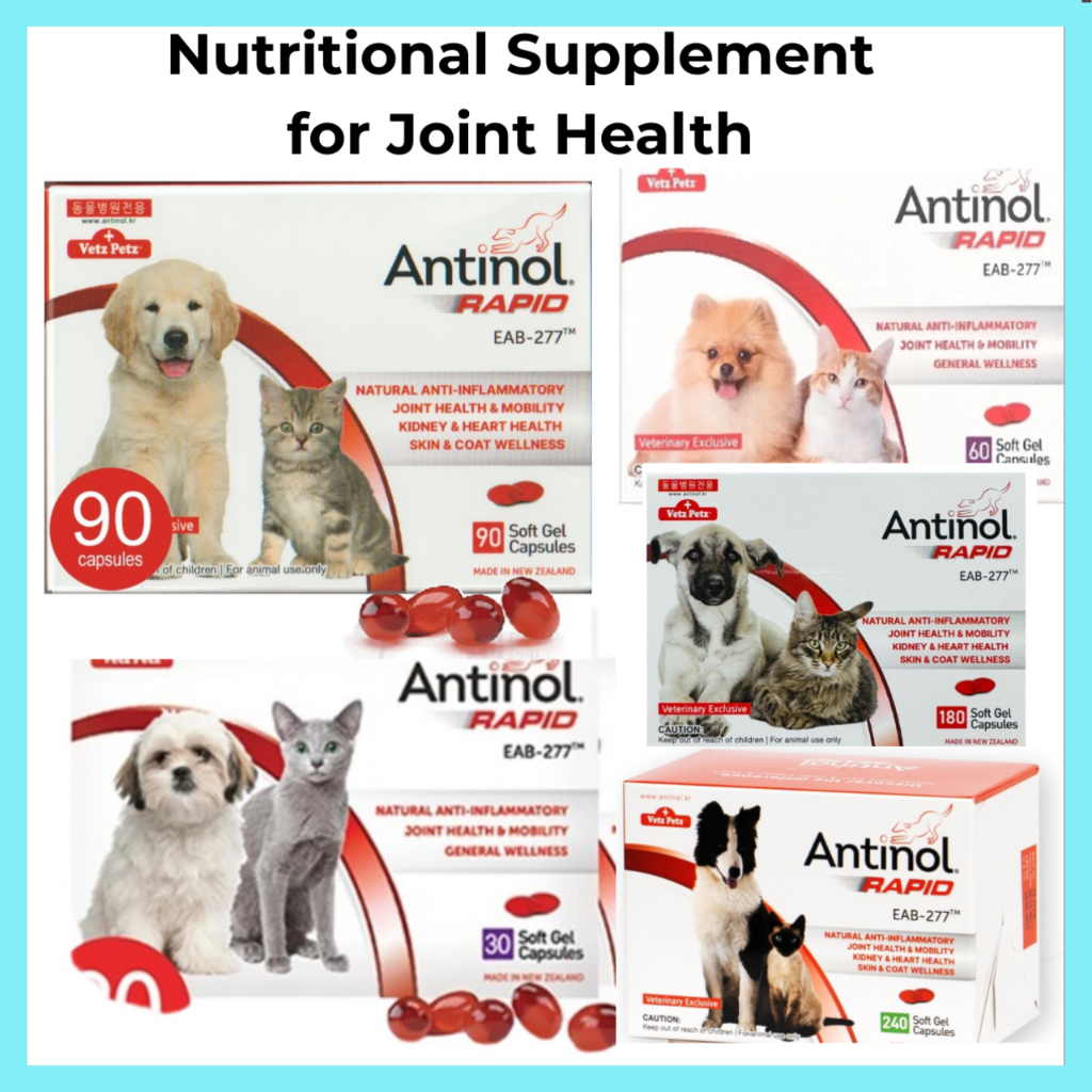 [VETZ PETZ] Antinol Rapid EAB-277 การดึงดูดใจล่าสุดสําหรับสุนัขและแมวอาหารเสริมเพื่อสุขภาพร่วม & Mob