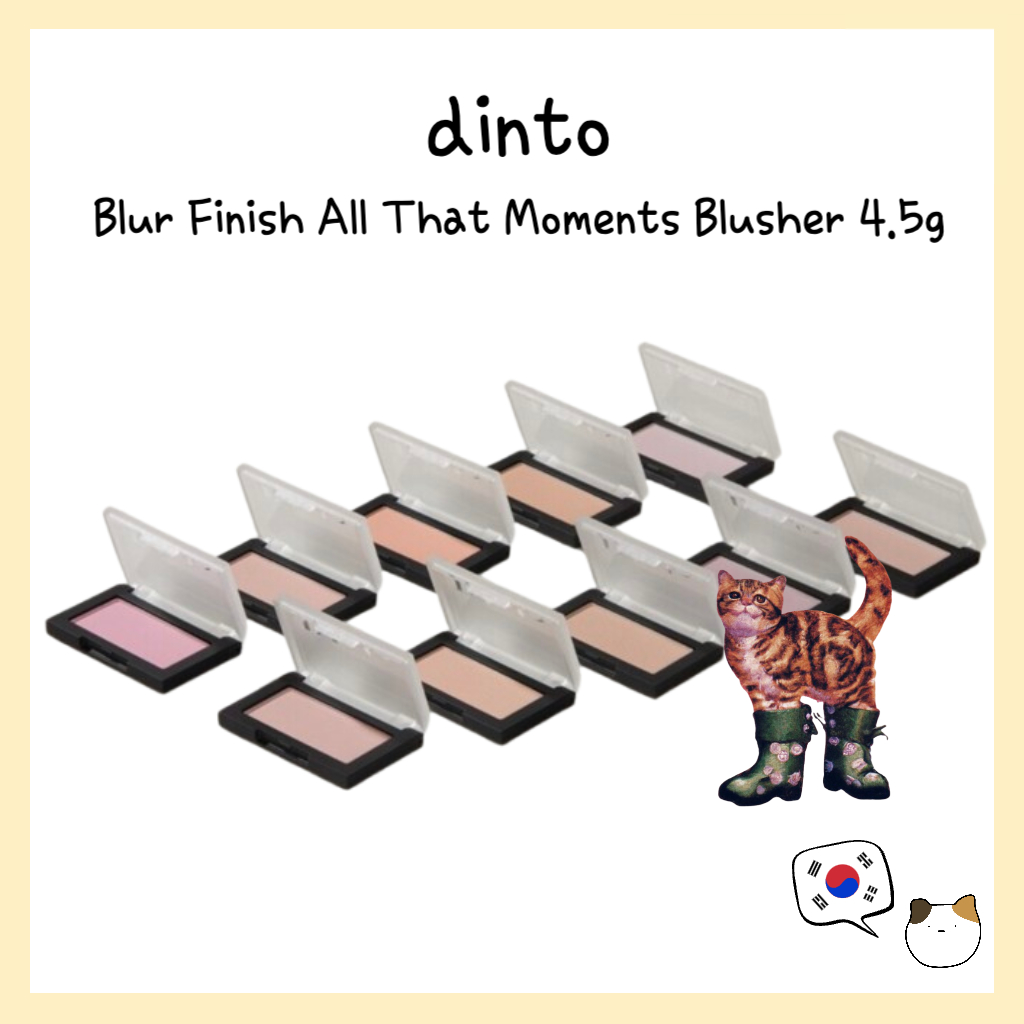 [สีใหม่] Dinto Blur Finish All That Moments Blusher 4.5g - จัดส่งจากเกาหลี #BlurFilter