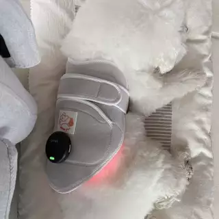 CiriusPet Warm Pad + Wireless Controller Near Infrared Therapy