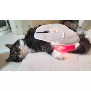 CiriusPet Warm Pad + Wireless Controller Near Infrared Therapy