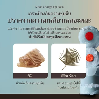 [OBgE Official] Mood Change Lip Balm 3g (Red, Orange, Honey Butter) | ชุ่มชื้นและมีชีวิตชีวา | สีเข้ากับริมฝีปากของคุณ | All-in-One Dual | เคลือบให้ความชุ่มชื้น | ลิปบาล์มปรับสีผิวริมฝีปาก
