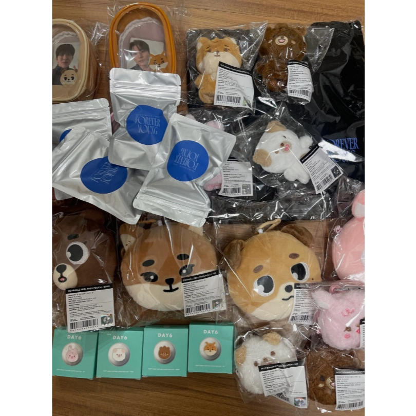 [มือ] DAY6 3RD WORLD TOUR FOREVER YOUNG FINALE ใน SEOUL OFFICIAL MERCH