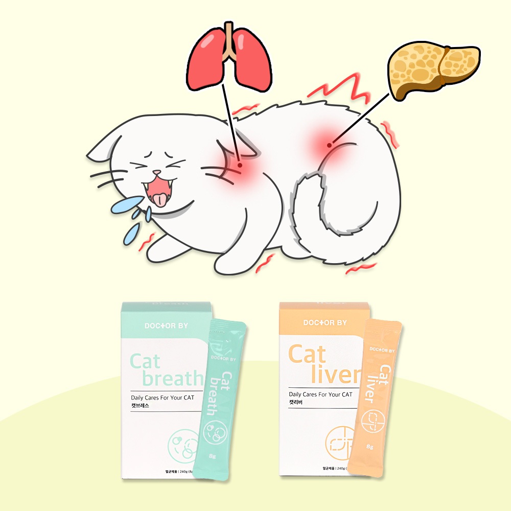 Doctorby ลมหายใจแมว ตับแมว ลมหายใจสัตว ์ เลี ้ ยง อาหารเสริมตับแมว churu อาหารเปียก treat stick