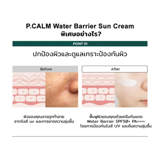[P.CALM] Water Barrier Suncream 50ml กันแดด SPF50+ PA++++