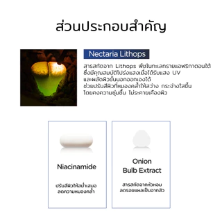 [P.CALM] Light Active Lithops Sheet Mask 25ml