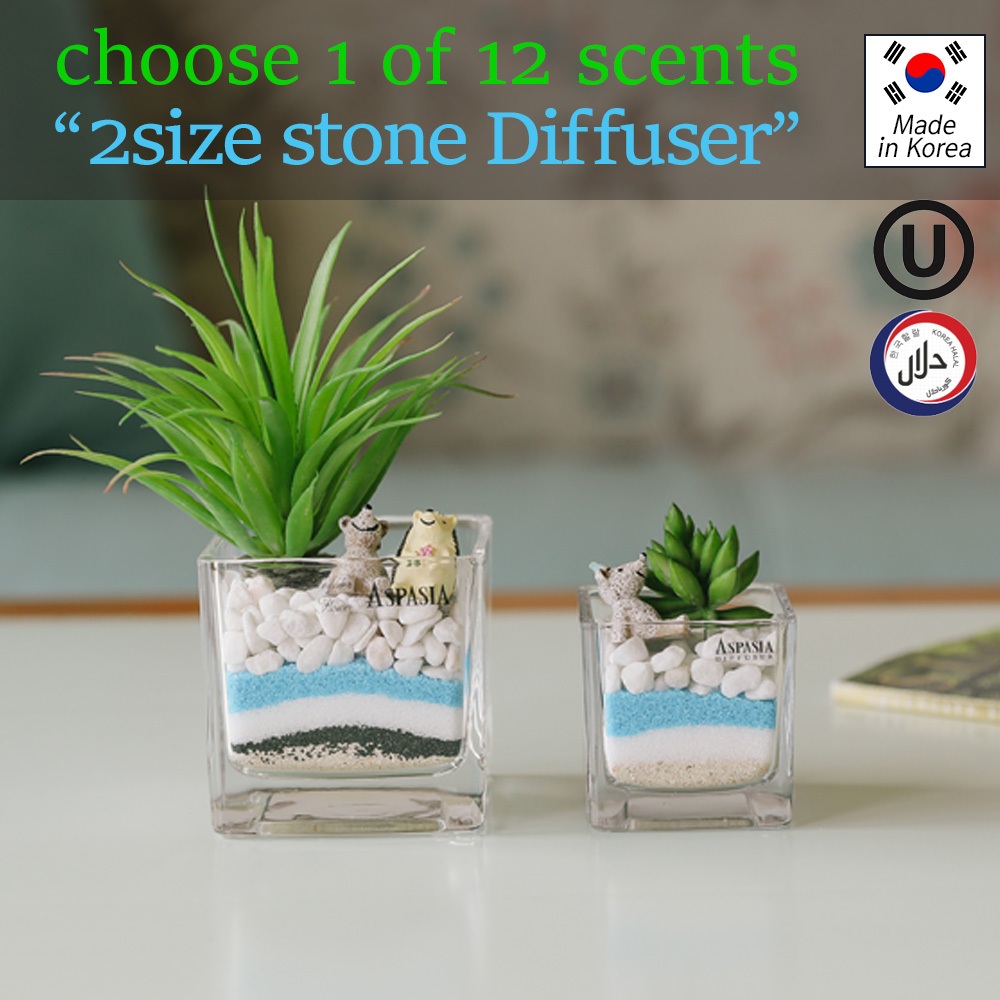 Aspasia แจกันแก้ว Stone Diffuser 10ml + ชุดพืชเทียม / เลือก 1 จาก 12 กลิ่น / ตกแต่งภายในสีเขียว