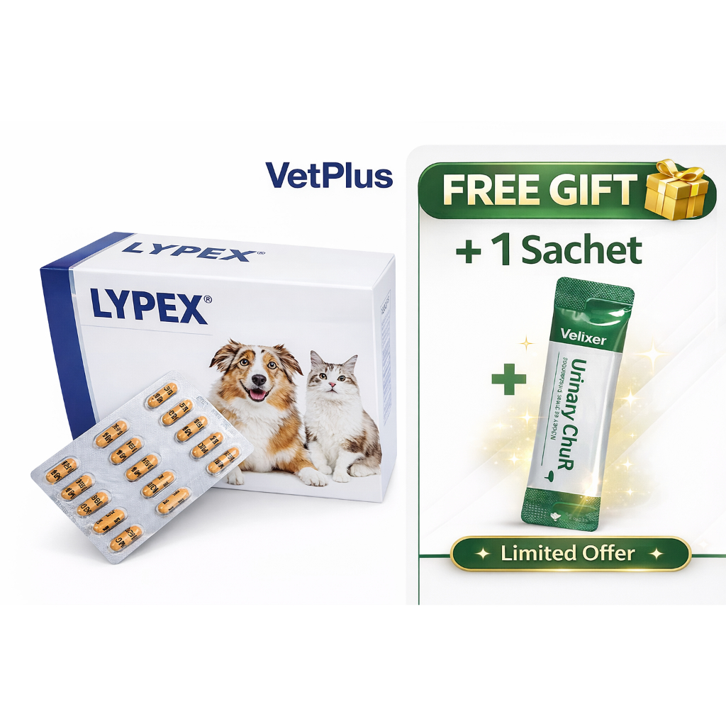 VetPlus LYPEX 60 แคปซูล | สุนัข&แมว เอนไซม์ย่อยอาหาร | เกาหลีของแท้จัดส่งที่รวดเร็ว + ของแถม