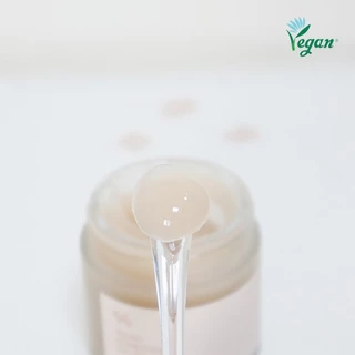 Dr.Ceuracle Vegan Kombucha Tea Essence 150ml / Gel Cream 75g - Lightweight Watery Hydrating Moisturizer พร้อม Kombucha Tea Extract