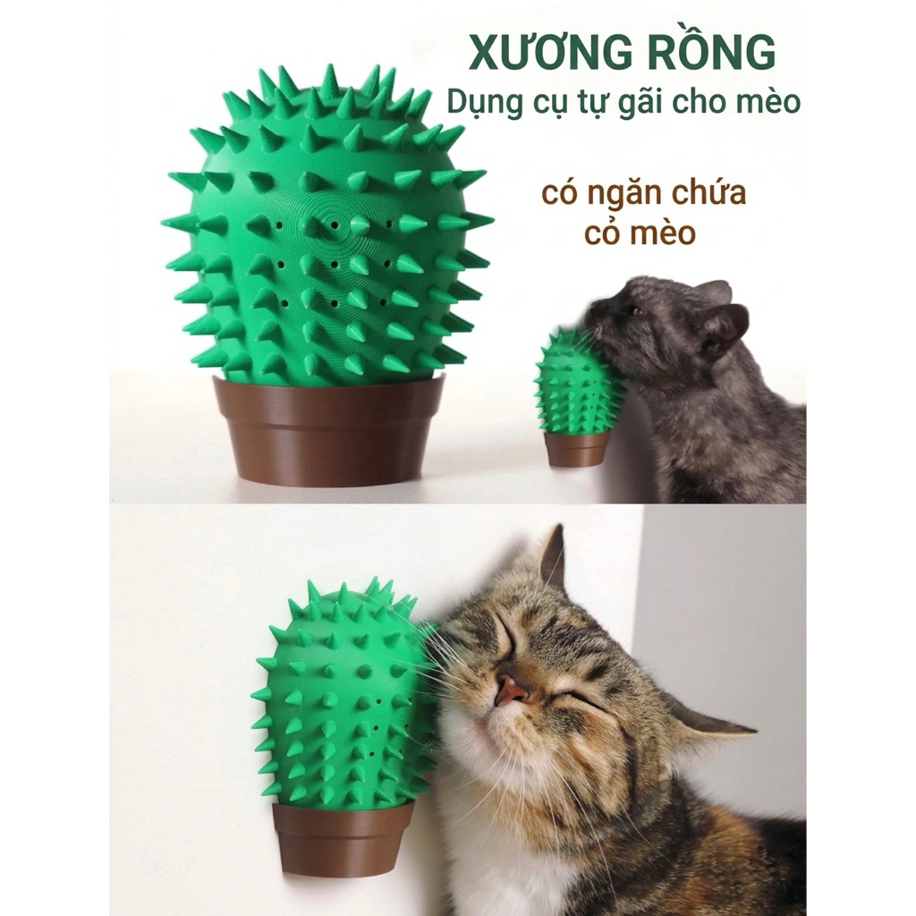 Chill Cactus Scratching Itching for Cat Boss 🌵🐱 - Cactus Chill Scratch Hub 🌵🐱
