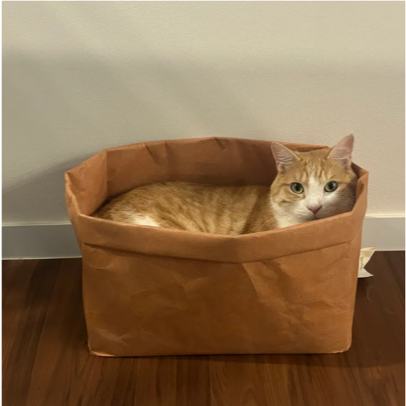 GOTTAGOHOME Cat DuPont Tyvek บ้านแมว ตะกร้ากระเป๋า