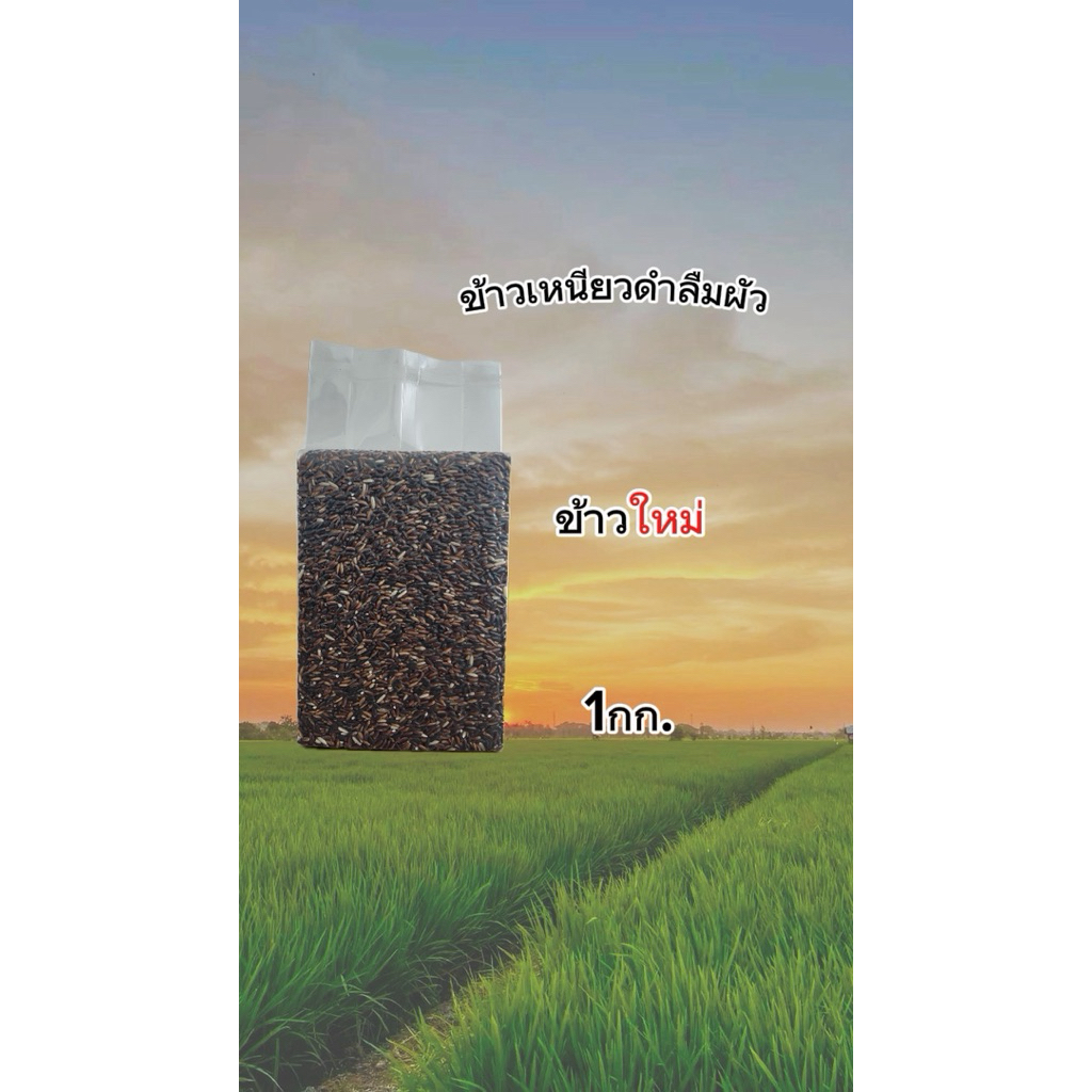 ข้าวเหนียวดำลืมผัว ข้าวเหนียวดำ ข้าวใหม่ 1 กก. คัดพิเศษ ไม่ขัดสี หอมนุ่ม สายสุขภาพ