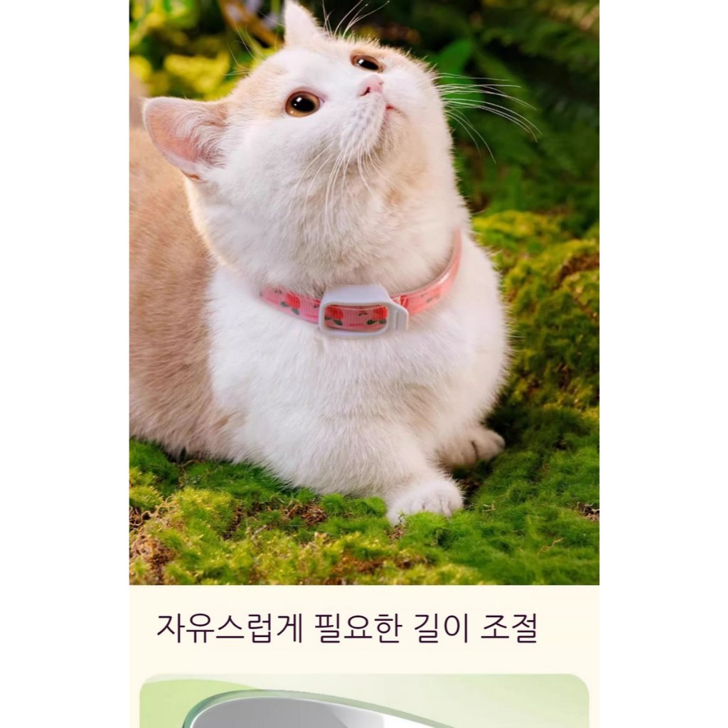 Yunes choice : Bug_OUT Pet Repellent Collar : Long_Lasting ยุงและเห็บ K_Pet