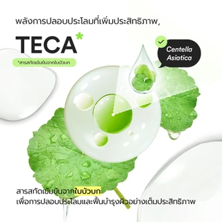 Abib Heartleaf TECA capsule serum Calming drop (50ml) เซรั่มลดการระคายเคือง สำหรับผิวแพ้ง่าย เป็นสิว / เซรั่ม