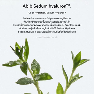 Abib Sedum hyaluron pad Hydrating touch (75 PADS)โทนเนอร์แพด