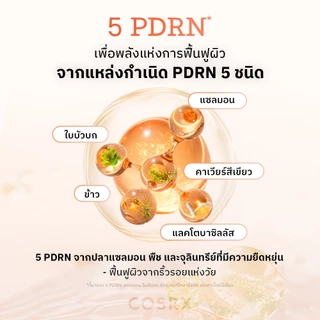[COSRX OFFICIAL] 5 PDRN B5 Vital Soothing Toner 5 พีดีอาร์เอ็น บี5 ไวทัล ซูทติ้ง โทนเนอร์