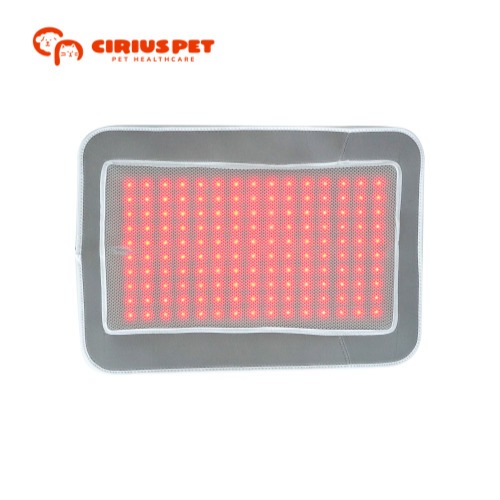 CiriusPet Warm Pad PRO Near-Infrared Therapy Patella Care