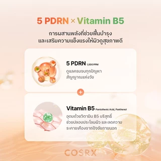 [COSRX OFFICIAL] 5 PDRN B5 Vital Soothing Toner 5 พีดีอาร์เอ็น บี5 ไวทัล ซูทติ้ง โทนเนอร์