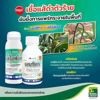 ขนาด 1 ลิตร เลโอฟอส บาก้า กรดฟอสโฟนิคสารแก้ปัญหาเชื้อรา โรคแส้ดำในไร่อ้อย