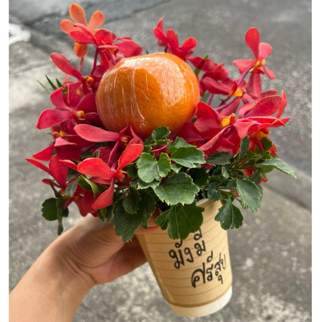 แจกันผลไม้มงคล | Mini Size | สไตล์ Minimal - กระเช้าผลไม้ กระเช้าเยี่ยมไข้ กระเช้าสวัสดีผู้ใหญ่