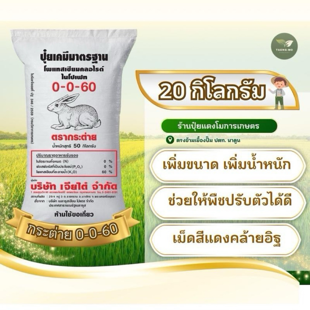 (ตักแบ่งขาย20กก.) ปุ๋ย 0-0-60 ตรากระต่าย  เพิ่มปริมาณแป้ง เพิ่มความหวาน เพิ่มขนาด และสีสั่ง