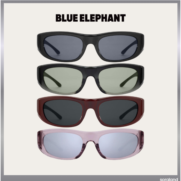 BLUE ELEPHANT แว่นกันแดดผู้ใหญ่ GLENDA 4 สี