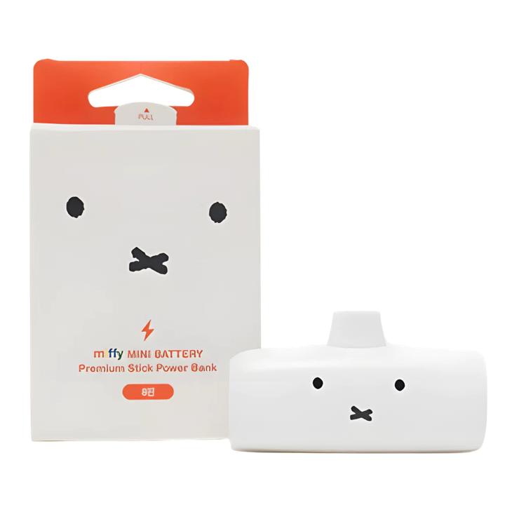 [MIFFY] DAYNEEDS Integrated Docking Mini Charger C Type