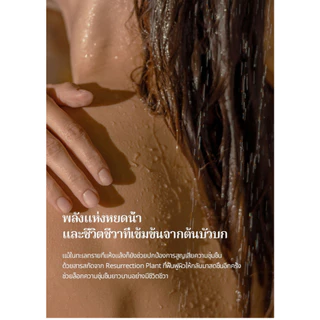 [NARD] บอดี้วอชน้ำหอม รีเฟรชชิ่ง 500มล - เลือกได้จาก 2 กลิ่น