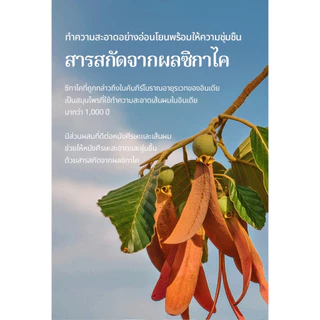 [KIM CHAEWON's Pick!] Bouquet Garni โกลว์ เพอร์ฟูมด์ ทรีตเมนต์ / แฮร์ คอนดิชันเนอร์ 500 มล.
