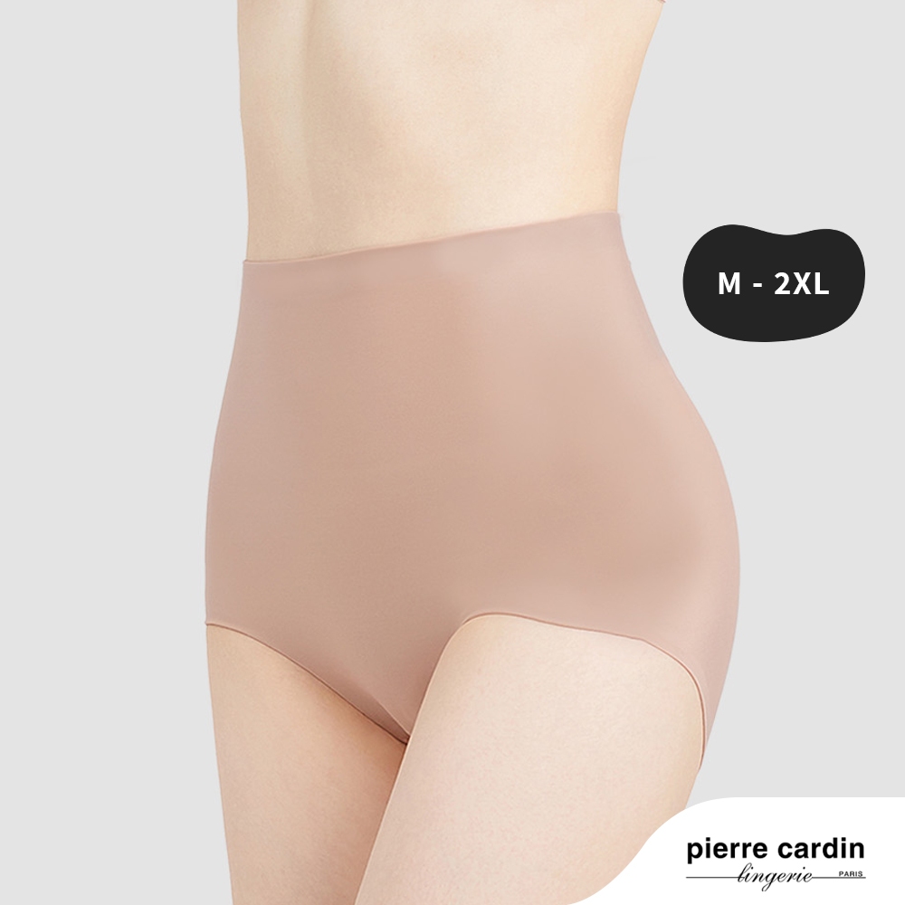 Pierre Cardin Seam Free Shaping Brief 500-2058F (CLEARANCE)
