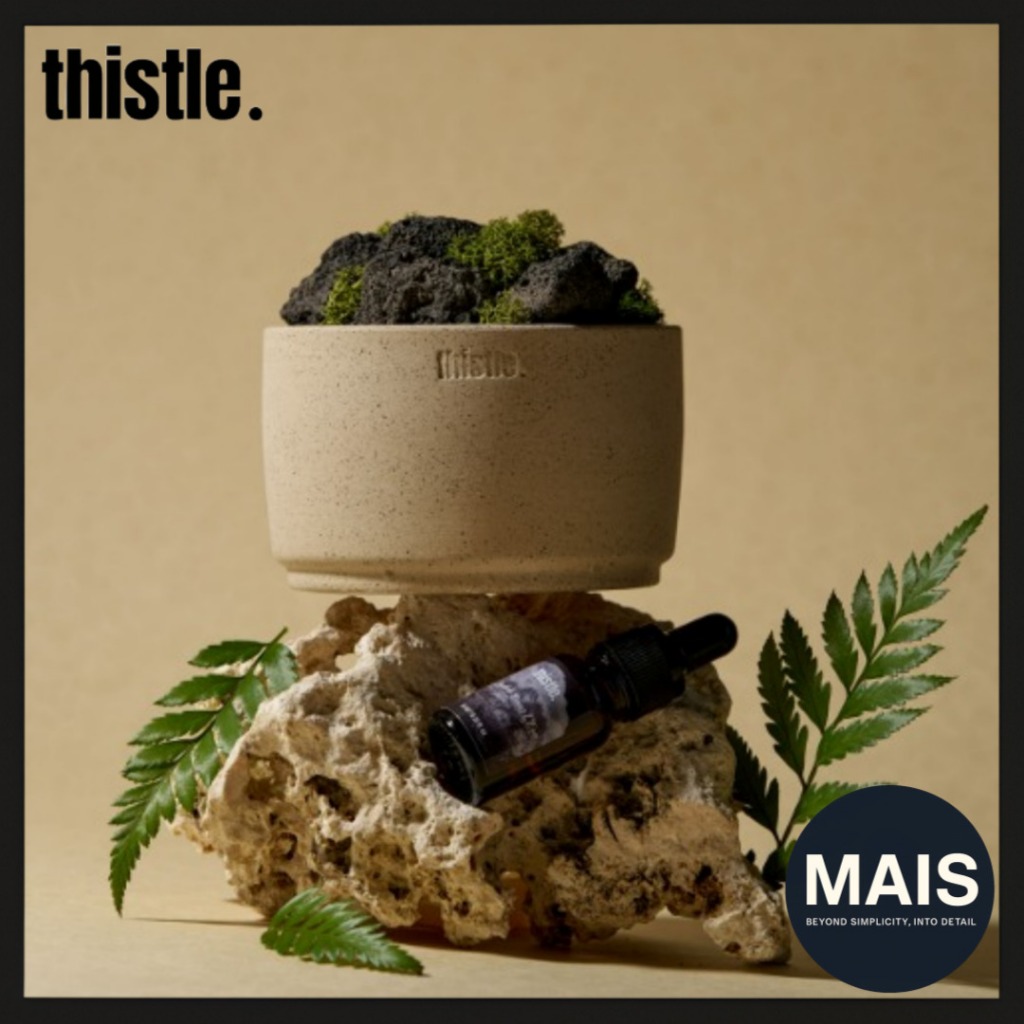 [THISTLE] Stone Diffuser – Volcanic Stone Indoor Air Freshener พร้อมเติมน้ํามันอโรมา (4 กลิ่น)