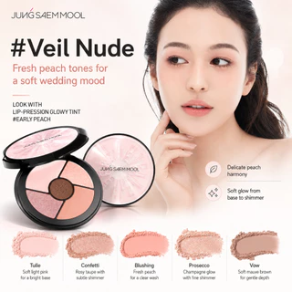 JUNG SAEM MOOL Artist Eye Palette Nude 15g อายแชโดว์ Highlighter Glitter Eye Shadow เมคอัพเบส