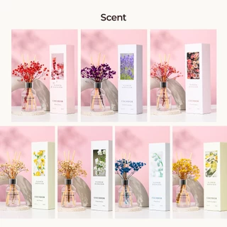COCODOR ก้านไม้หอมดอกไม้จริงอบแห้ง 100ml 1 แพ็ค / ก้านหอมปรับอากาศ / แบรนด์ก้านไม้หอมชั้นนำจากเกาหลี / น้ำบ้าน