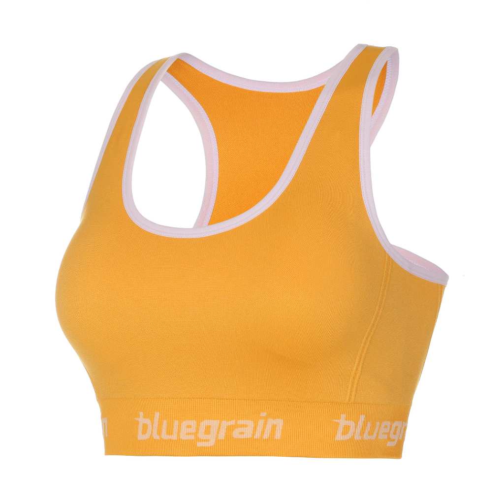 Bluegrain [ZALMAN BRA] Gyul Rock