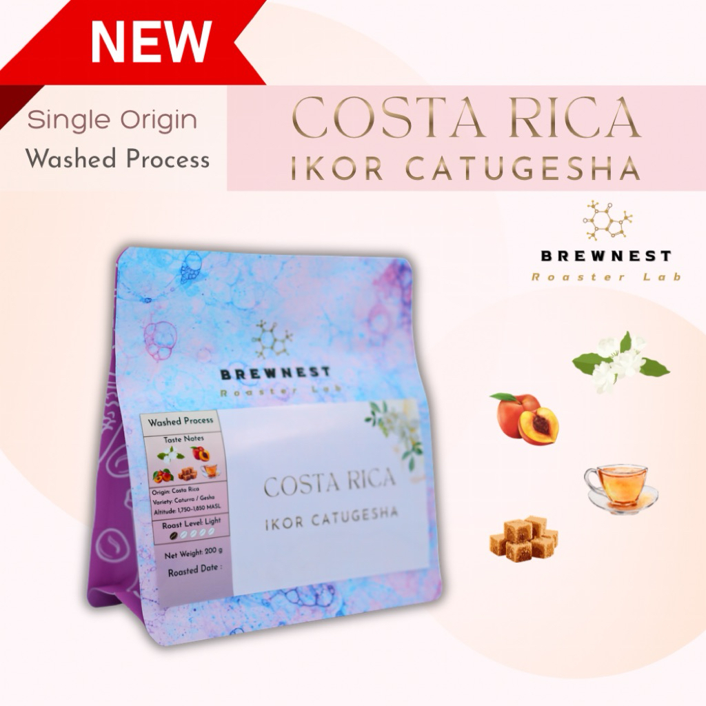 เมล็ดกาแฟคั่วอ่อน Costa Rica IKOR Catugesha Washed | Specialty Coffee | BrewNest Roaster Lab