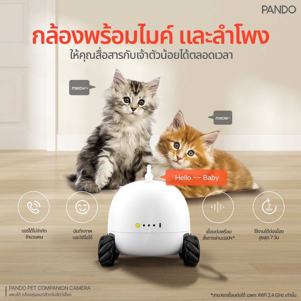 กล้องส่องแมว PANDO Pet Companion กล้องหุ่นยนต์สำหรับสัตว์เลี้ยง