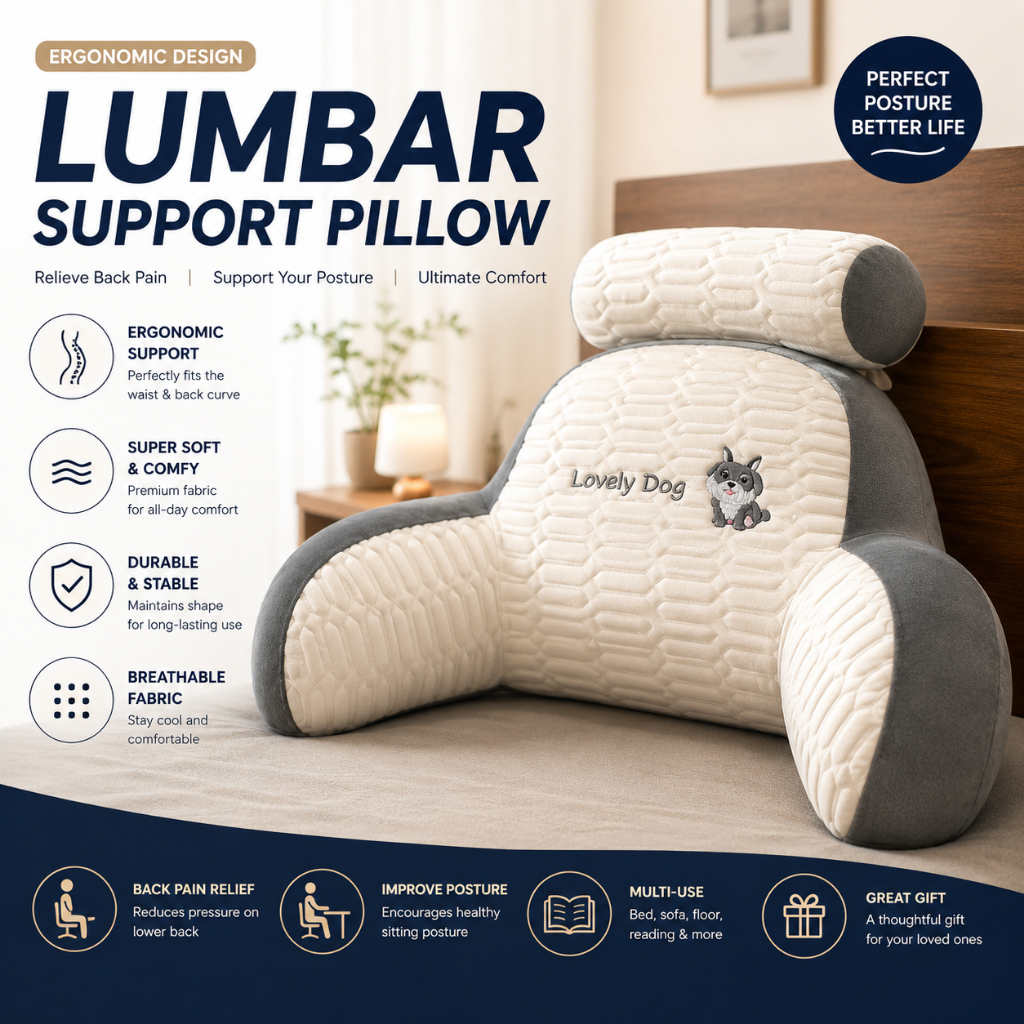 [เคดีเอ็นซี] หมอนอ่านพนักพิงพร้อมม้วนคอที่ถอดออกได้ | Ergonomic Lumbar Support Cushion Bed & Sofa Re