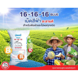 [แบ่งขาย 20 กิโล ] ปุ๋ยตรากระต่าย บลู16-16-16