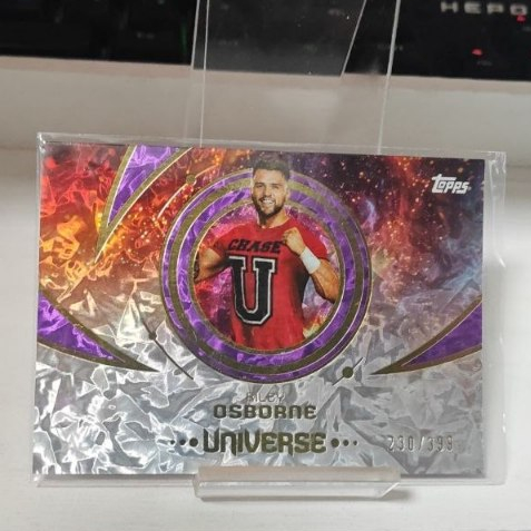 2025 Topps WWE Universe - Riley Osborne Numbered /399