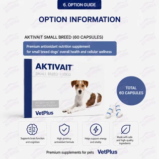 VET PLUS Aktivait สุนัขพันธุ์เล็ก 60 แคปซูล / รองรับสารอาหารสมอง / สารต้านอนุมูลอิสระ / สําหรับสุนัข / K-PET